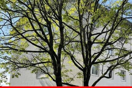 Wohnung Lahr - 4 Zimmer, 105 m&sup2;, 295.000&euro; | Angebot:26259344