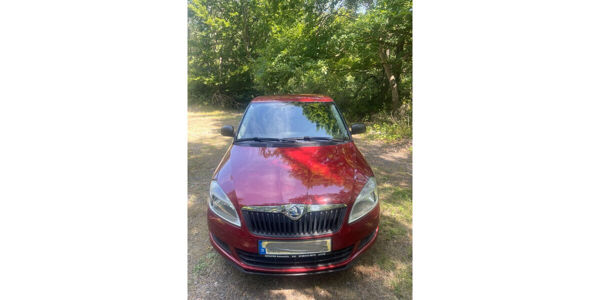 Skoda Fabia 164.500 km 2.550 € Ettringen 56729