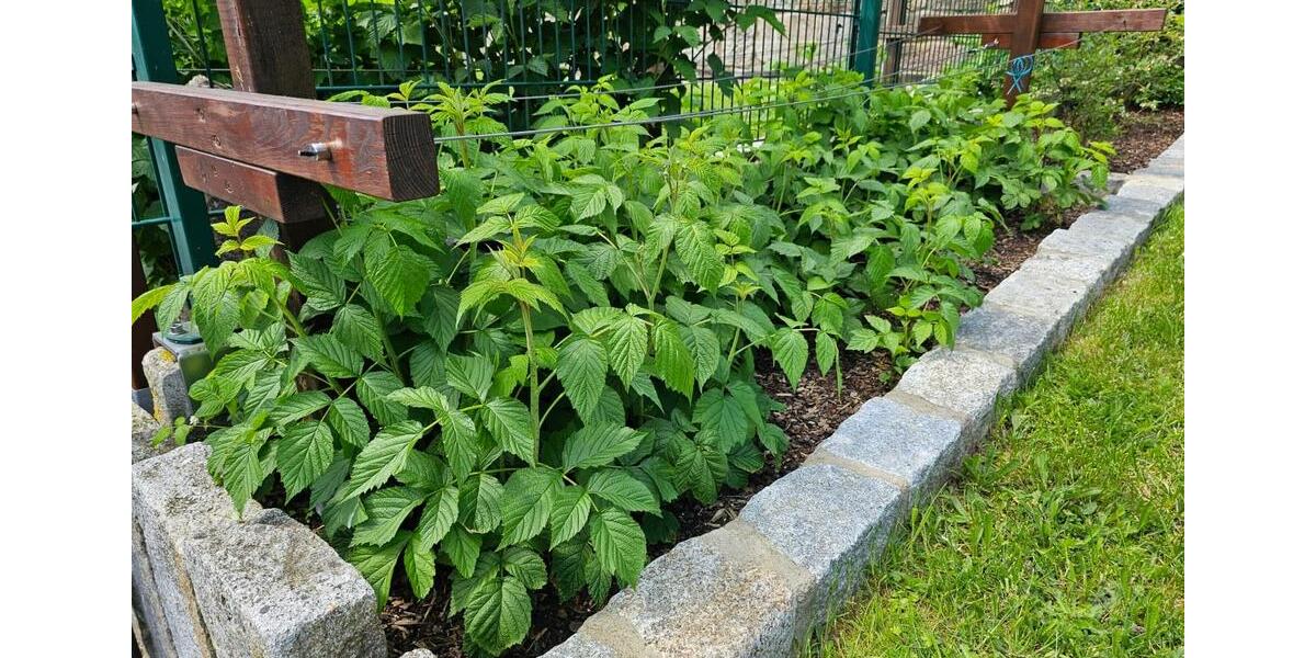 Gewerbeobjekt Oberleichtersbach - 1.800&euro; | Angebot:26700955