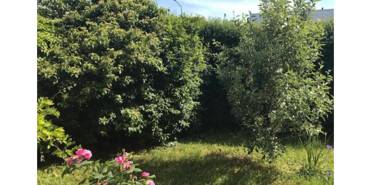 Erdgeschoßwohnung Ludwigsburg Eglosheim - 1.5 Zimmer, 60 m&sup2;, 855&euro; | Angebot:25306784