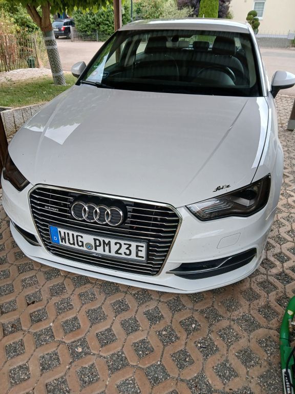 A3