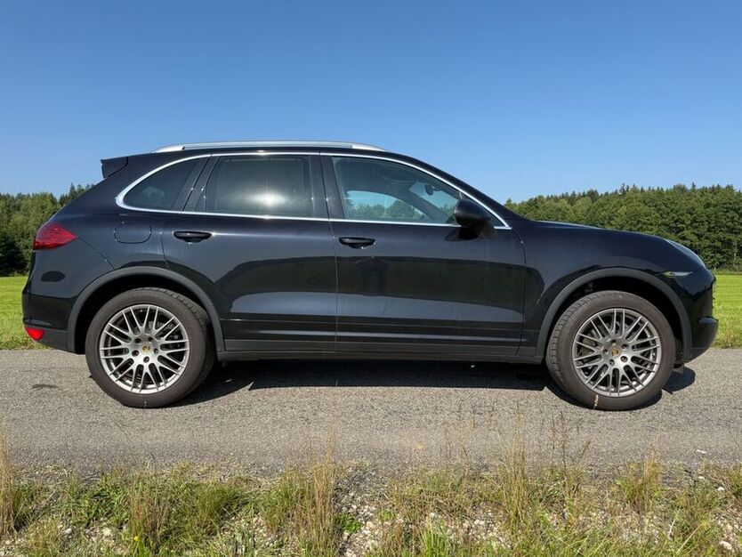 Cayenne