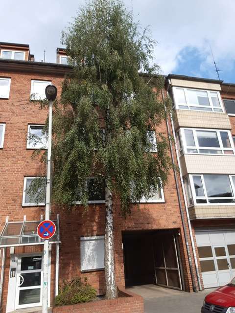 Wohnung zum Mieten in Kiel 475 € 45.01 m²