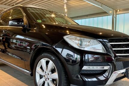Mercedes-Benz ML 350 174.900 km 16.700 &euro; Templin 17268