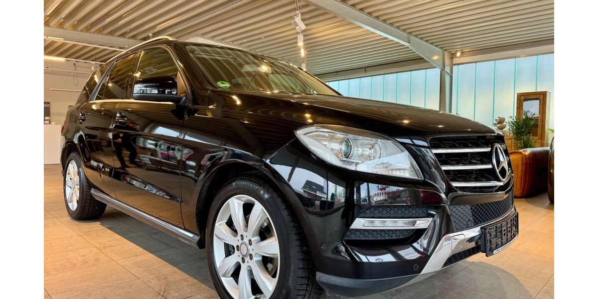 Mercedes-Benz ML 350 174.900 km 16.700 &euro; Templin 17268