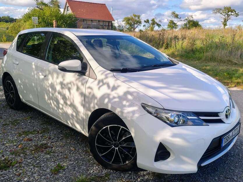 Auris