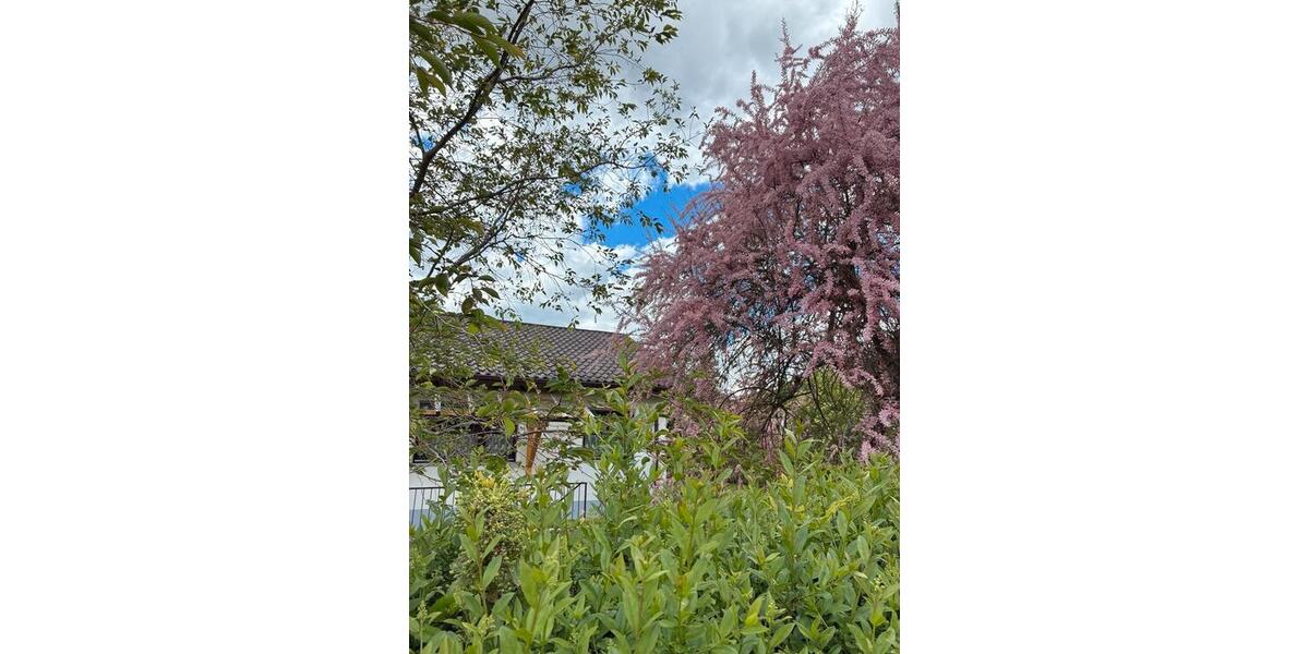 Einfamilienhaus Riedlingen - 449.000&euro; | Angebot:27048807