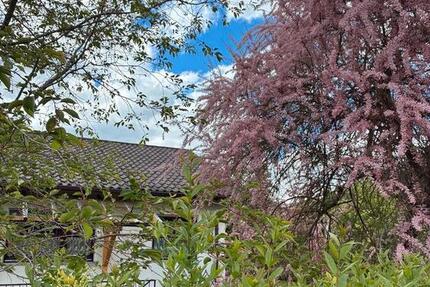 Haus Riedlingen - 449.000&euro; | Angebot:27048807