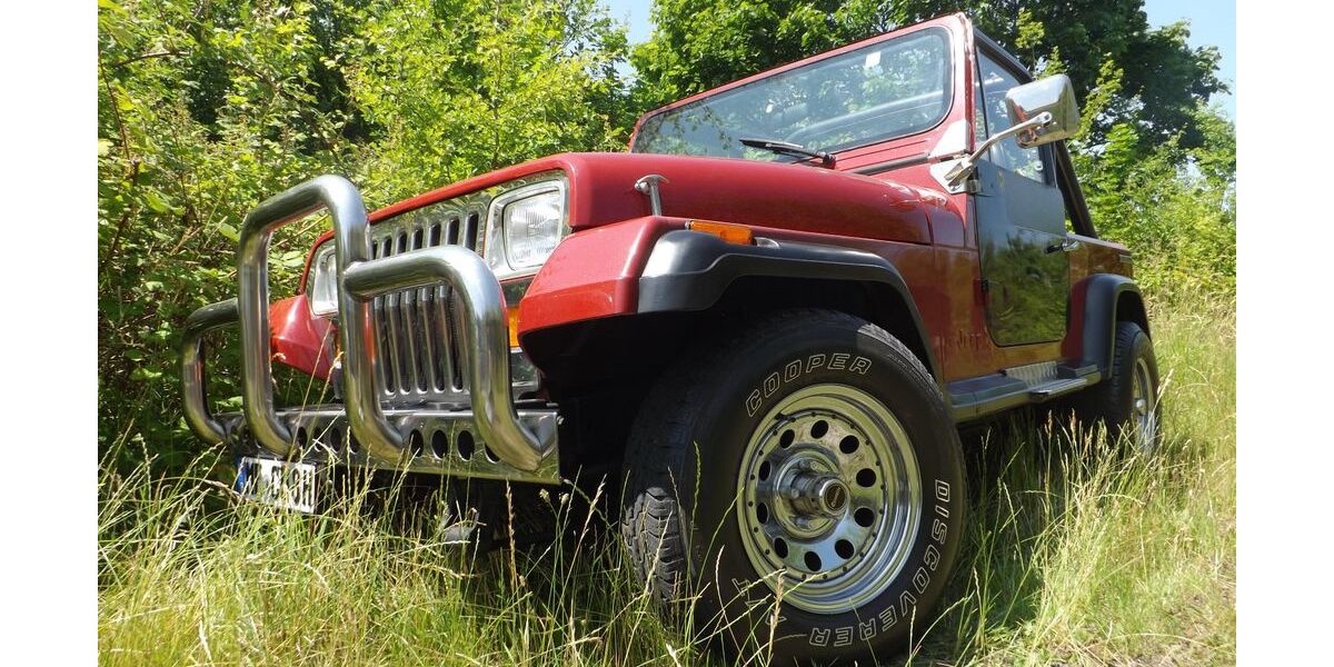 Jeep Wrangler 39.850 km 22.222 &euro; Mettmann 40822