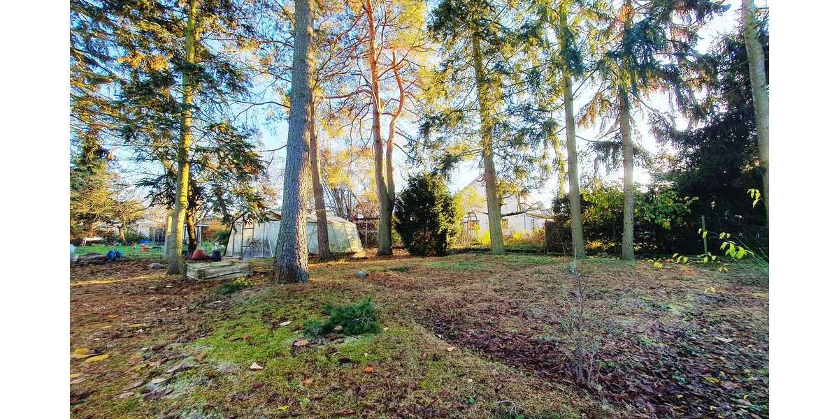 Grundstück Teltow - 355.000&euro; | Angebot:25926552