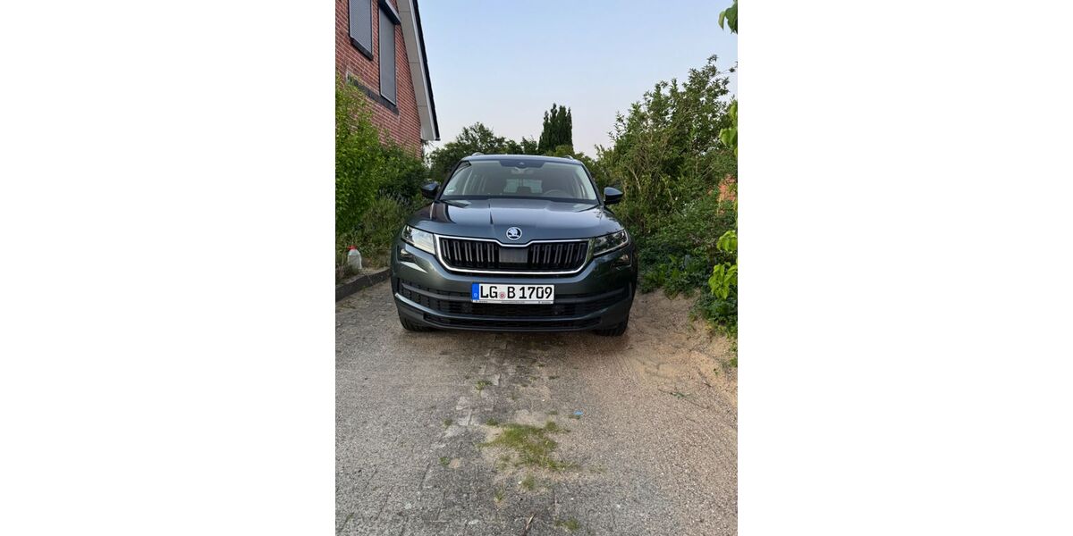 Skoda Kodiaq 138.000 km 20.800 &euro; Hohnstorf 21522
