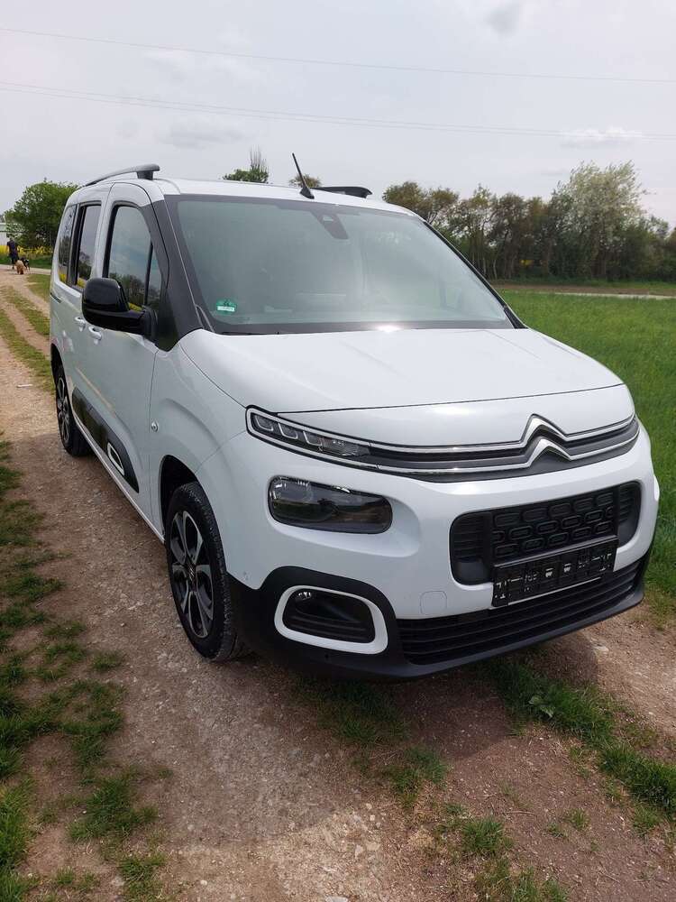 Berlingo