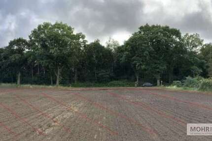 Grundstück zu verkaufen in Esterwegen 259.900 € 4000 m²