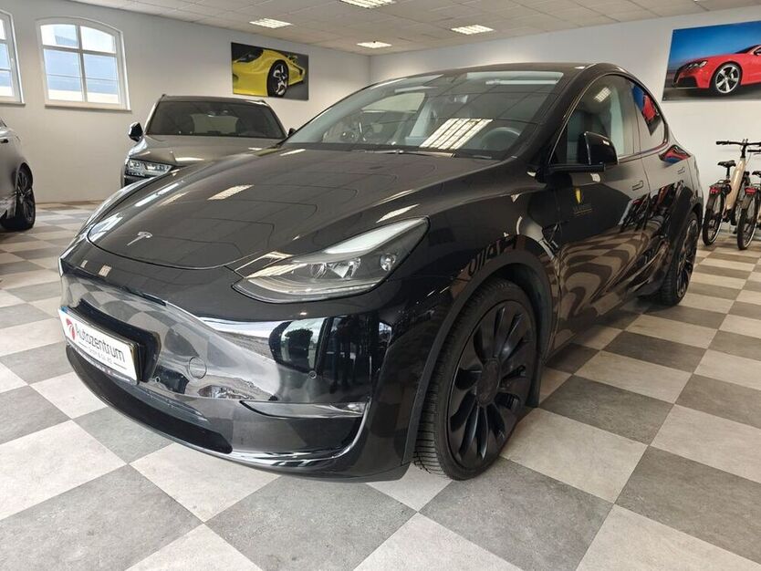 Model Y