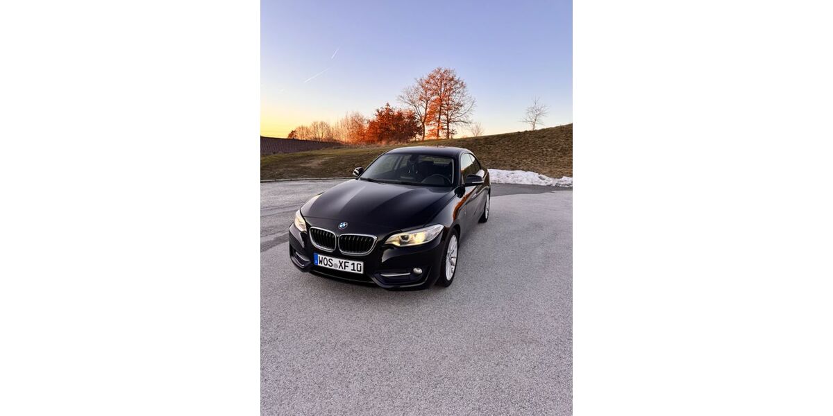 BMW 220 162.000 km 13.990 &euro; Fürsteneck 94142