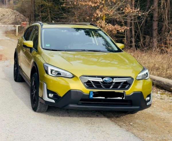 XV
