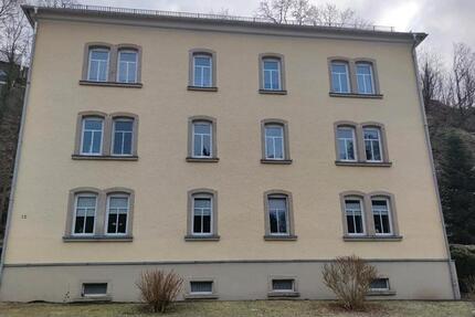 2 Zimmer Wohnung ab 15.Februar 2026 2 zimmer