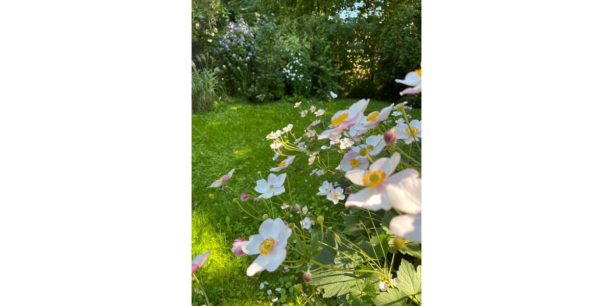 Bauernhaus, Landhaus Brück - 6 Zimmer, 200 m&sup2;, 630.000&euro; | Angebot:25252278