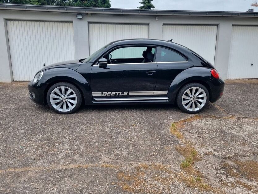 Beetle
