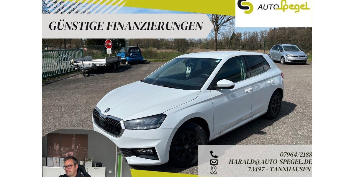 Skoda Fabia 26.671 km 16.390 &euro; Tannhausen 73497