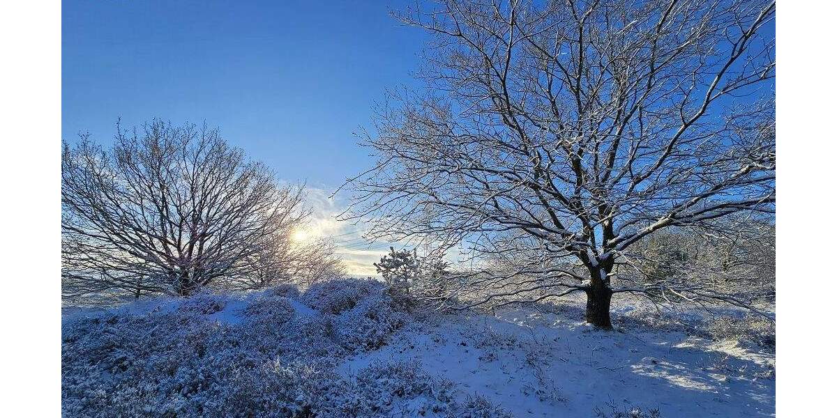 Bauernhaus, Landhaus Süderlügum - 5 Zimmer, 143 m&sup2;, 380.000&euro; | Angebot:25303075