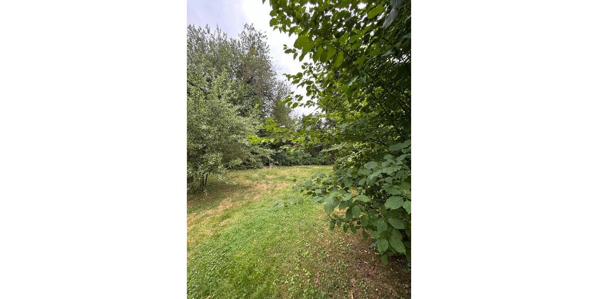 Erdgeschoßwohnung Bünde - 3 Zimmer, 115 m&sup2;, 593.000&euro; | Angebot:27006888