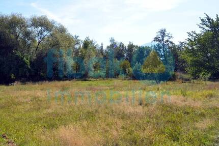 Attraktive Baugrundstücke im idyllischen Haselbach - familienfreundlich und flexibel bebaubar zimmer