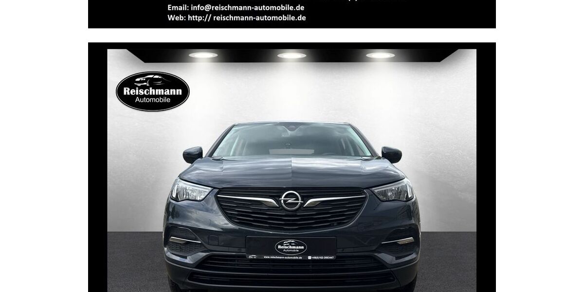 Opel Grandland (X) 168.186 km 8.999 &euro; Dietenheim 89165