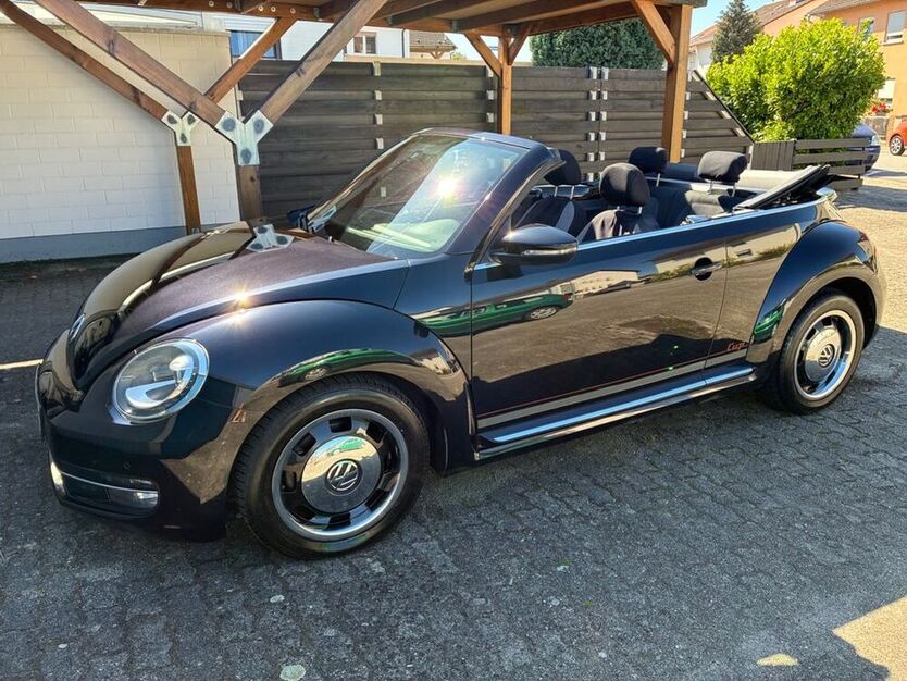 Beetle