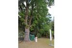 Bungalow Rathenow - 2 Zimmer, 36 m&sup2;, 45.000&euro; | Angebot:20304217