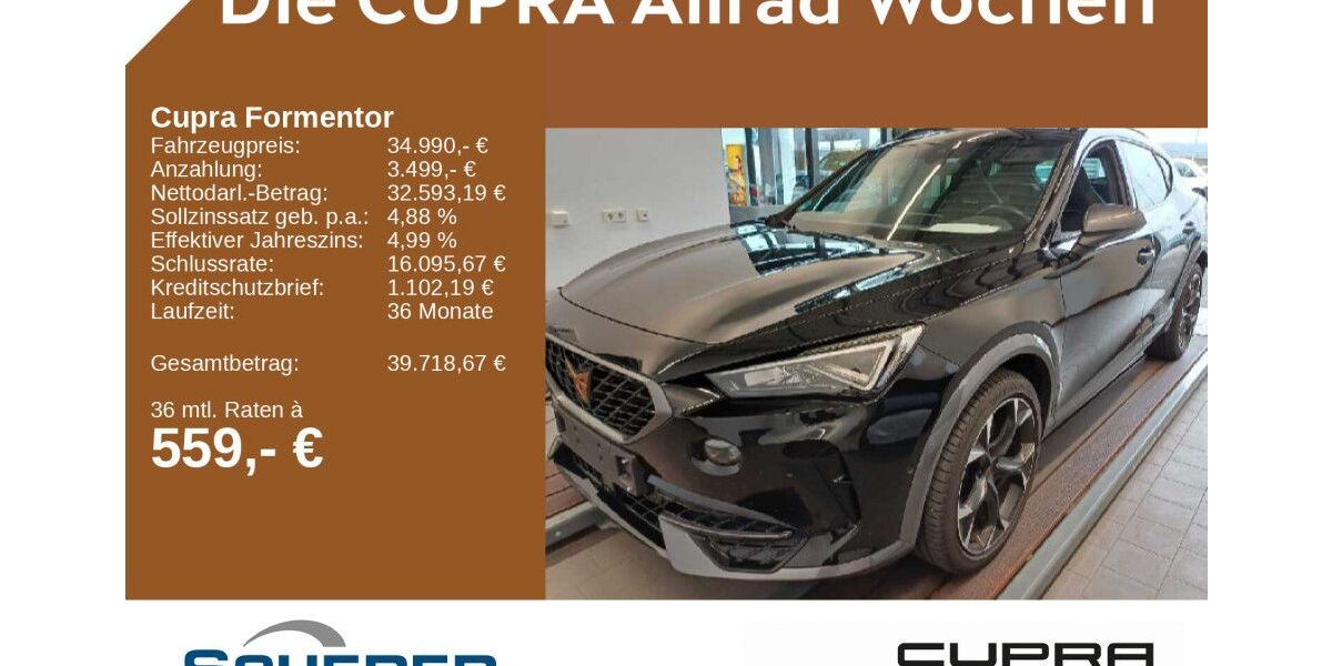 Cupra Formentor 17.444 km 32.990 &euro; Bingen / Rhein 55411
