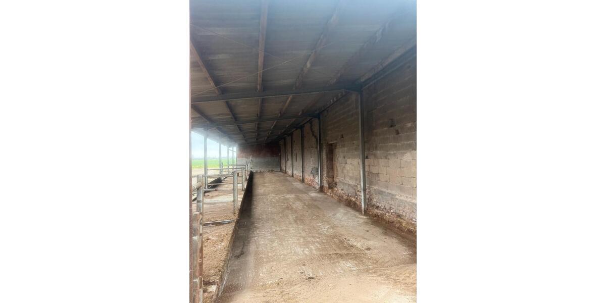 Gewerbeobjekt Goch - 2.200&euro; | Angebot:25563398