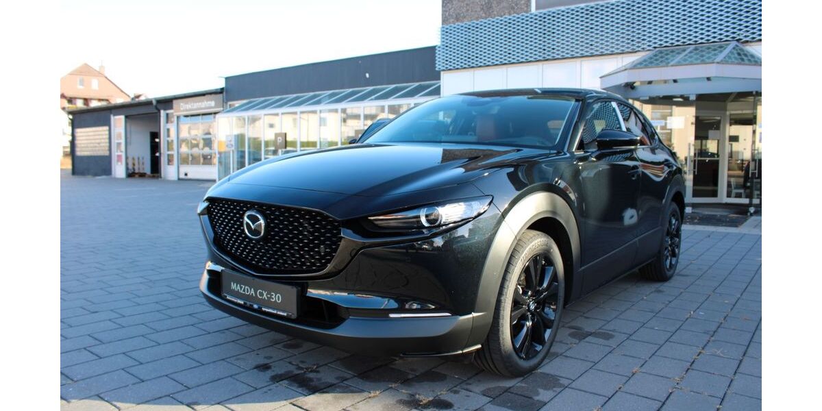 Mazda CX-30 1.001 km 31.680 &euro; Holzminden 37603