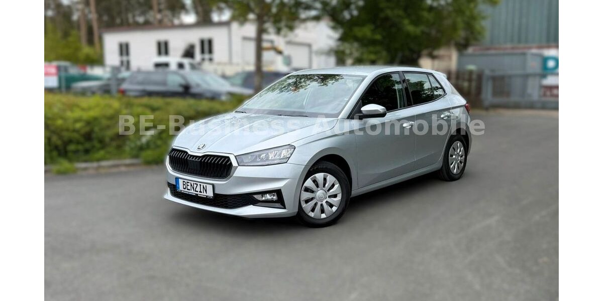 Skoda Fabia 132.060 km 9.996 &euro; Wendelstein 90530
