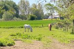 2 schöne Ferienhäuser in Nordseenähe! - Wohnanlage Nordermeldorf | Angebot:26770175