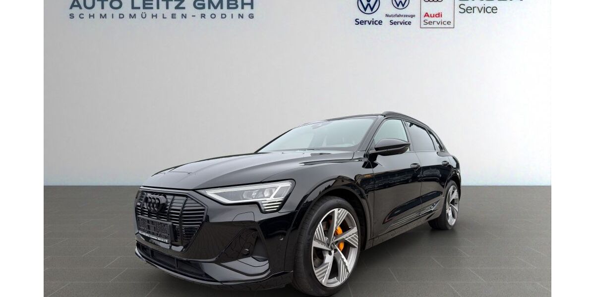 Audi e-tron 101.180 km 35.770 &euro; Schmidmühlen 92287
