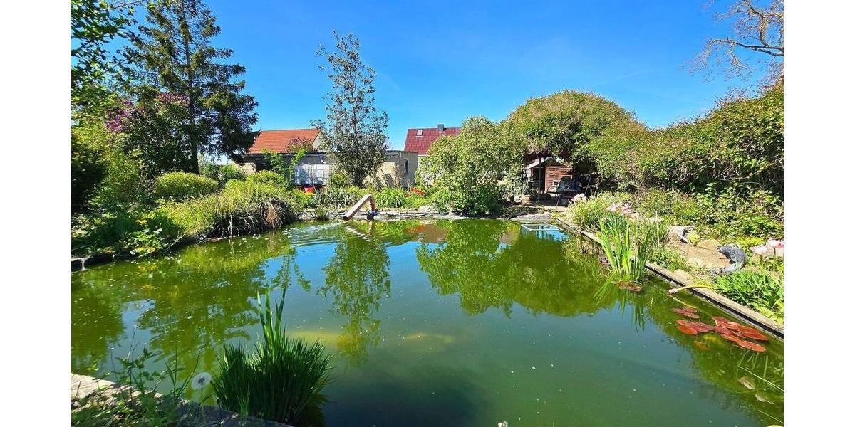 Einfamilienhaus Osternienburger Land Dornbock - 138.000&euro; | Angebot:26885870