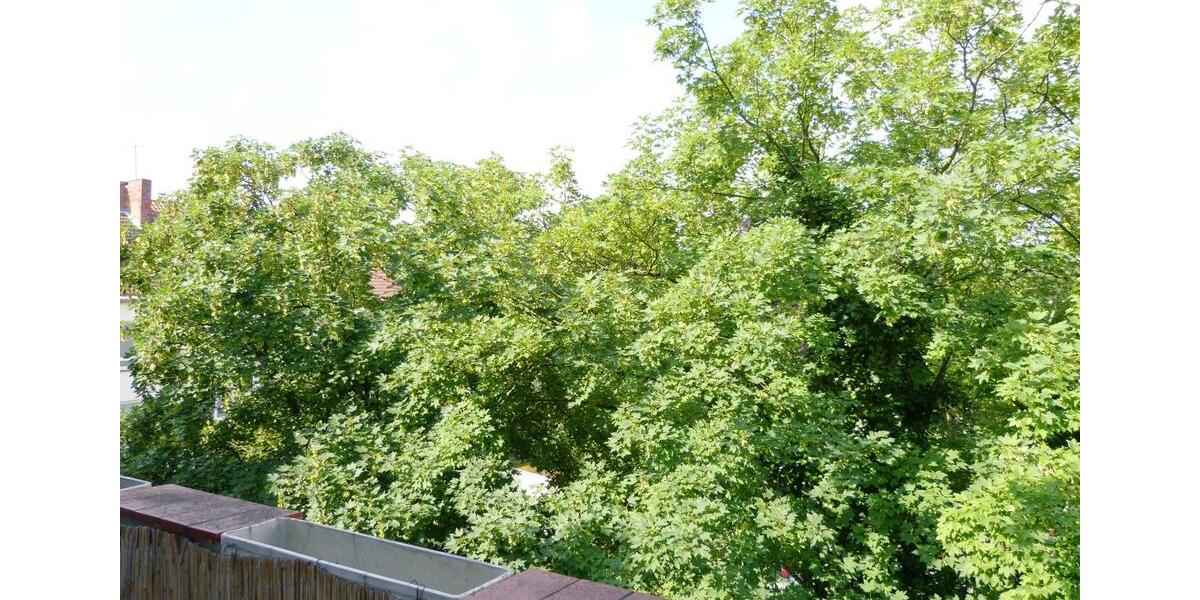 Charmante Altbauwohnung mit Stil – Wohnen im Herzen von Hannover 5 zimmer