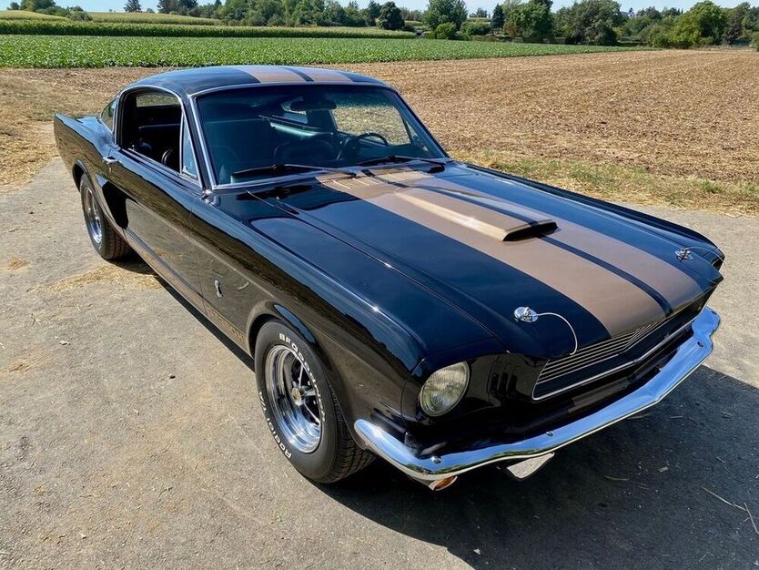 Mustang