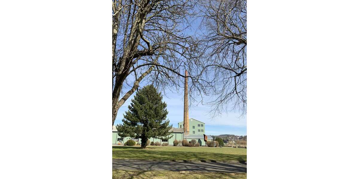 Halle in Bad Münstereifel 4.080 € 1360 m² zimmer