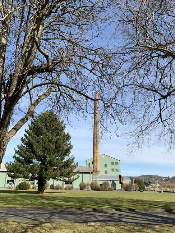 Halle in Bad Münstereifel 4.080 € 1360 m² zimmer