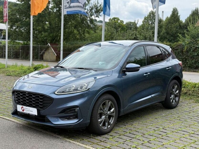 Kuga
