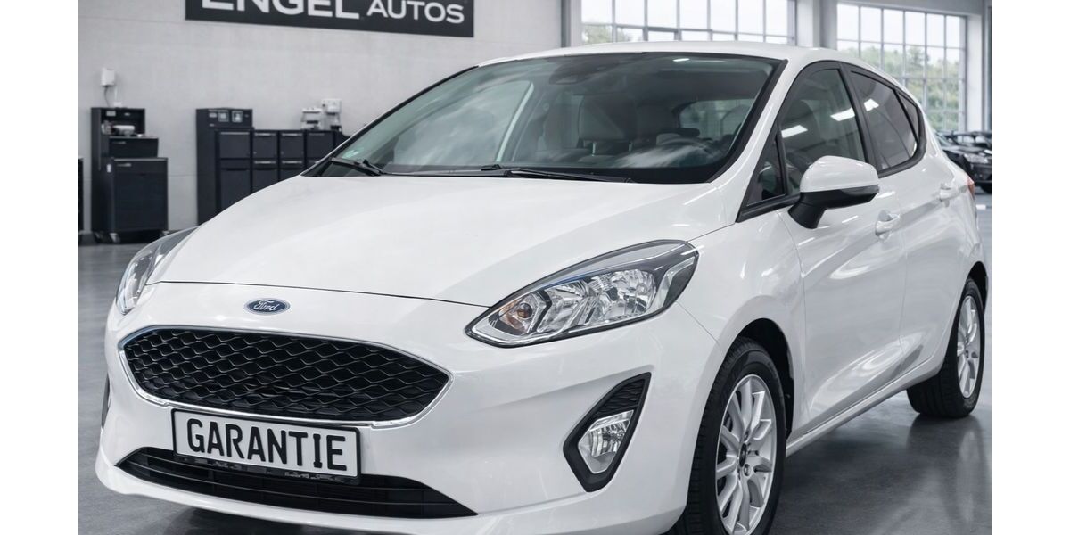 Ford Fiesta 42.200 km 9.990 &euro; Moschheim 56424