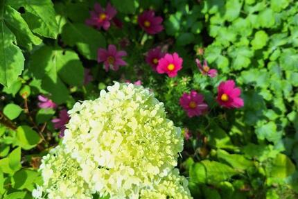 Zweifamilienhaus Nordstadt Singen zimmer