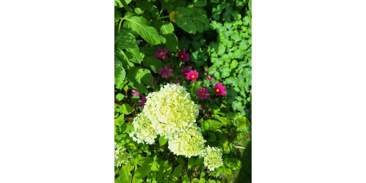 Zweifamilienhaus Nordstadt Singen zimmer