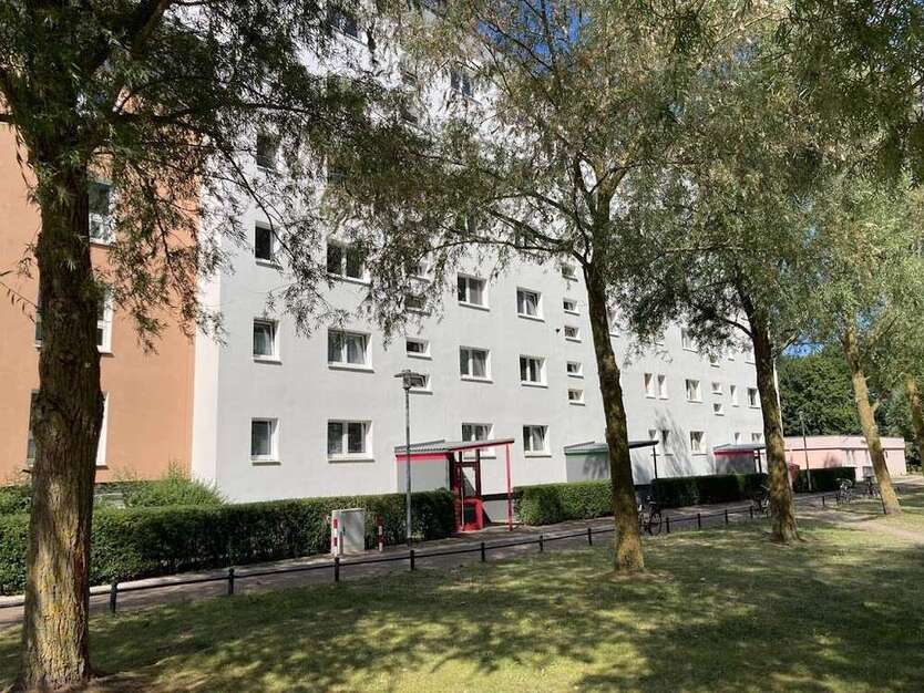 Wohnung zum Mieten in Stralsund 300 € 49.7 m²