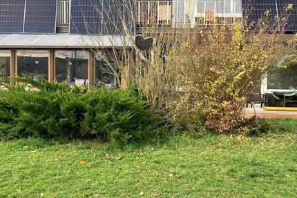 Einfamilienhaus in Diebach zur Miete 10 zimmer