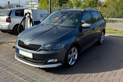 Skoda Fabia 48.000 km 15.999 € Rötgesbüttel 38531