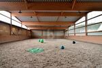 PFERDERANCH, REITANLAGE, TRAUMHAUS, SPITZENPREIS - Einfamilienhaus Meckenbach | Angebot:26373625