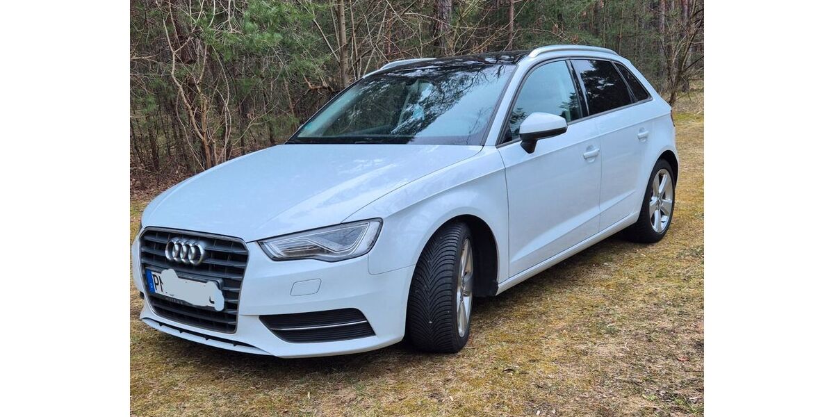 Audi A3 222.000 km 10.500 &euro; Borkwalde 14822